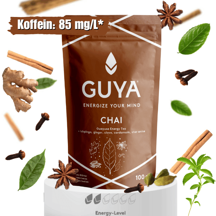 GUYA CHAI-Packung mit Gewürzmotiven und deutscher Beschriftung
