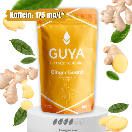 Guayusa Tee Ginger-Guard GUYA Guayusa GmbH