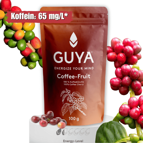 Kaffeekirsche Kaffee-Frucht Tee GUYA Guayusa GmbH
